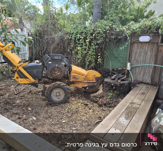מכונה לגיזום עצים בגינה עם צמחייה מסביב